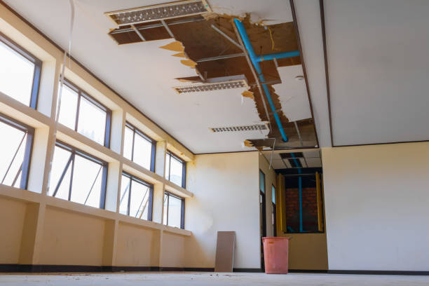 Best Ceiling water damage repair  in Summit, AZ