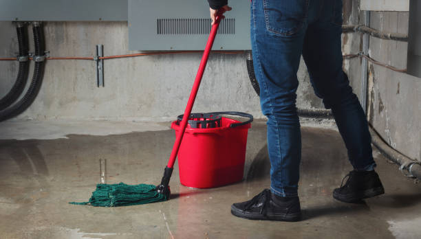 Best Water damage mitigation services  in Summit, AZ