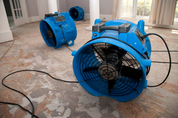 Best Water damage restoration near me  in Summit, AZ