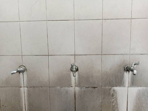 Best Flood damage cleanup  in Summit, AZ