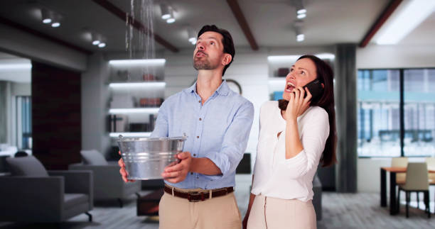 Best Fire Damage Restoration  in Summit, AZ